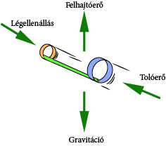 fizika